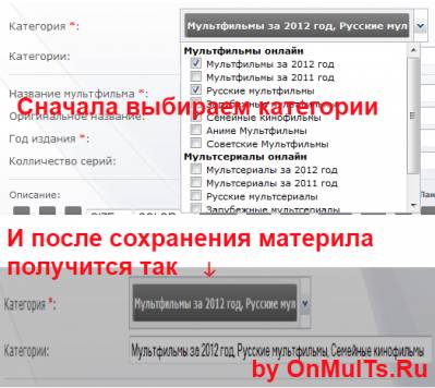 Авто добавление категорий в дополнительное поле