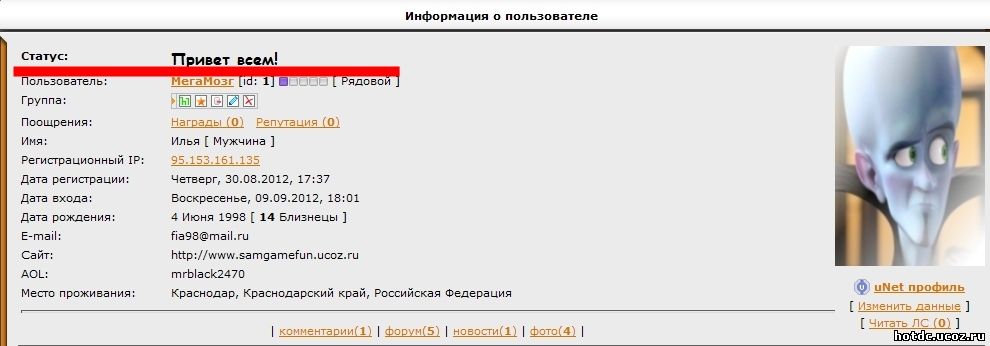 Статус для сайта